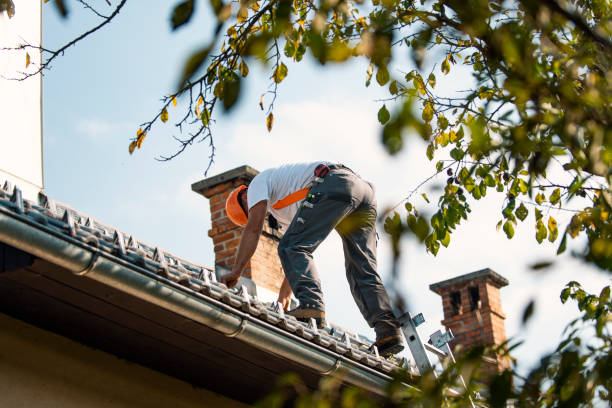 Best Roof Gutter Cleaning  in Kennedy, CA