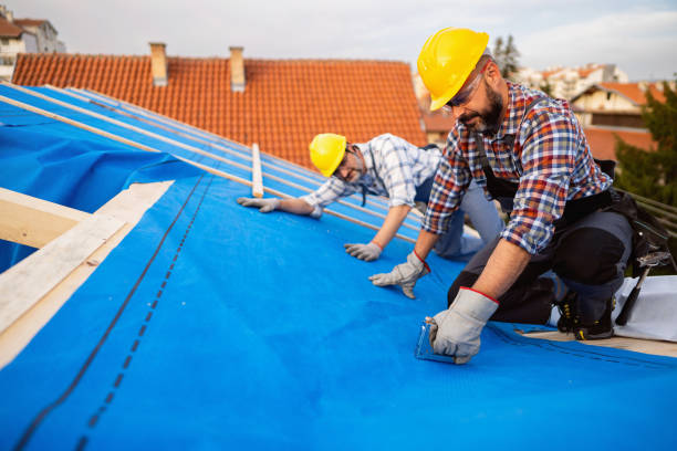 Roof Gutter Cleaning in Kennedy, CA